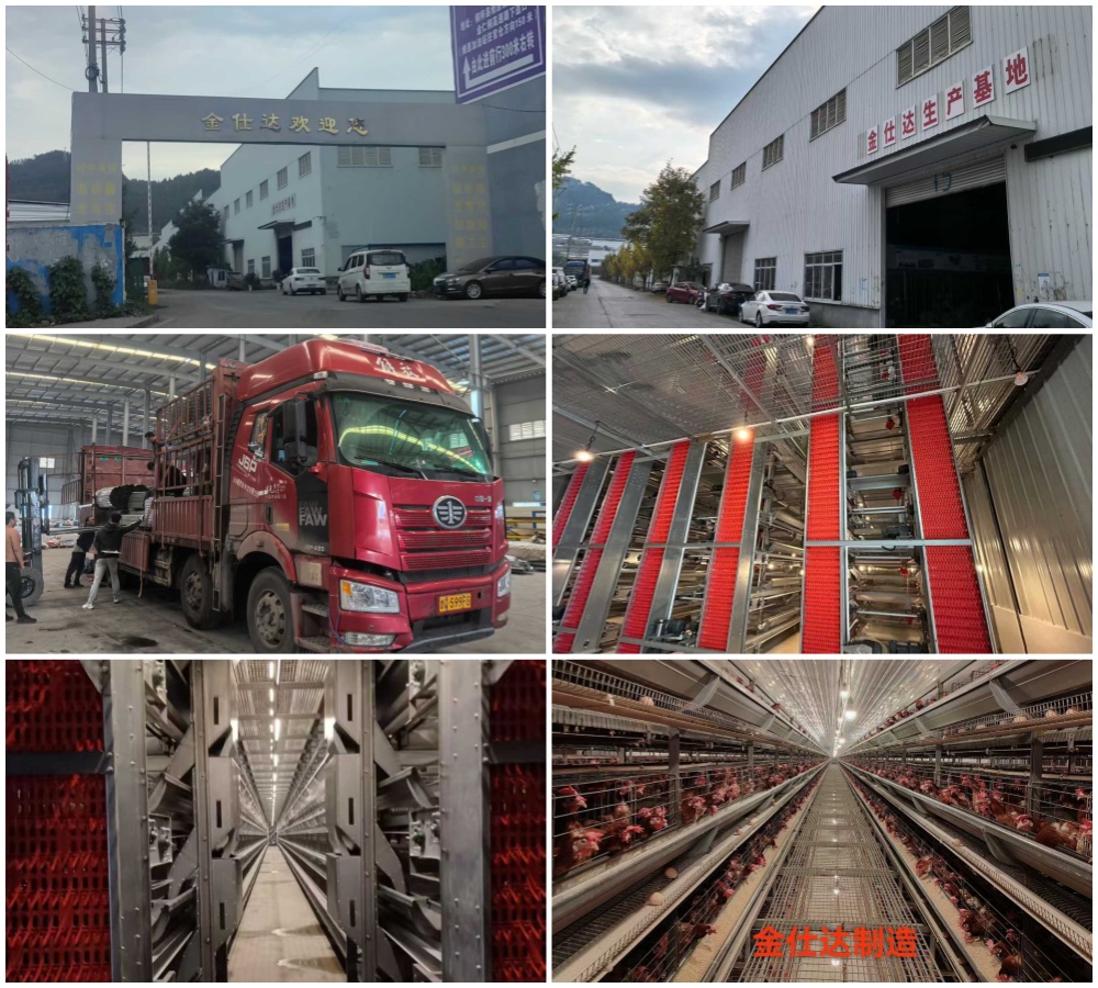 贵州金仕达养鸡设备